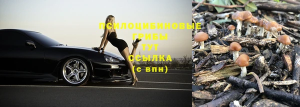 mdpv Алексин