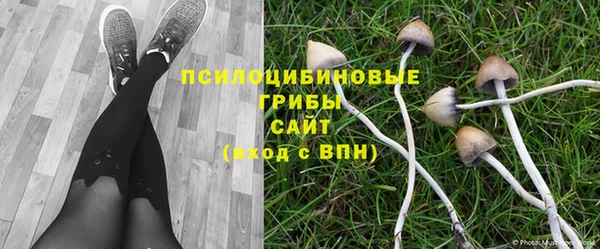 MDMA Алексеевка