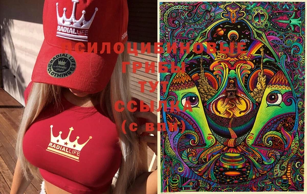 прущая мука Алзамай