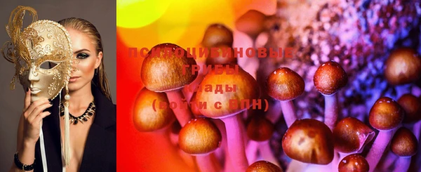 прущая мука Алзамай