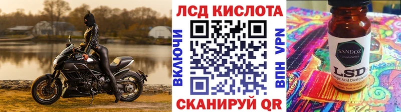 Марки 25I-NBOMe 1,5мг  shop клад  KRAKEN ССЫЛКА  Новозыбков  где продают  