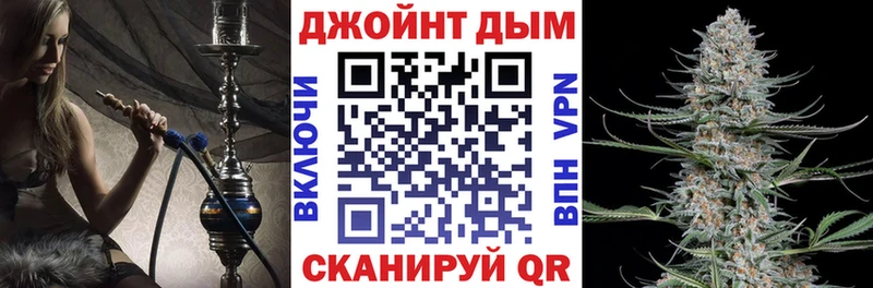 мега зеркало Новозыбков Бошки марихуана ГИДРОПОН дарнет шоп